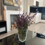 Golden Prague 78 Apartman